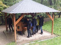 zloty lisc 2017 (29)